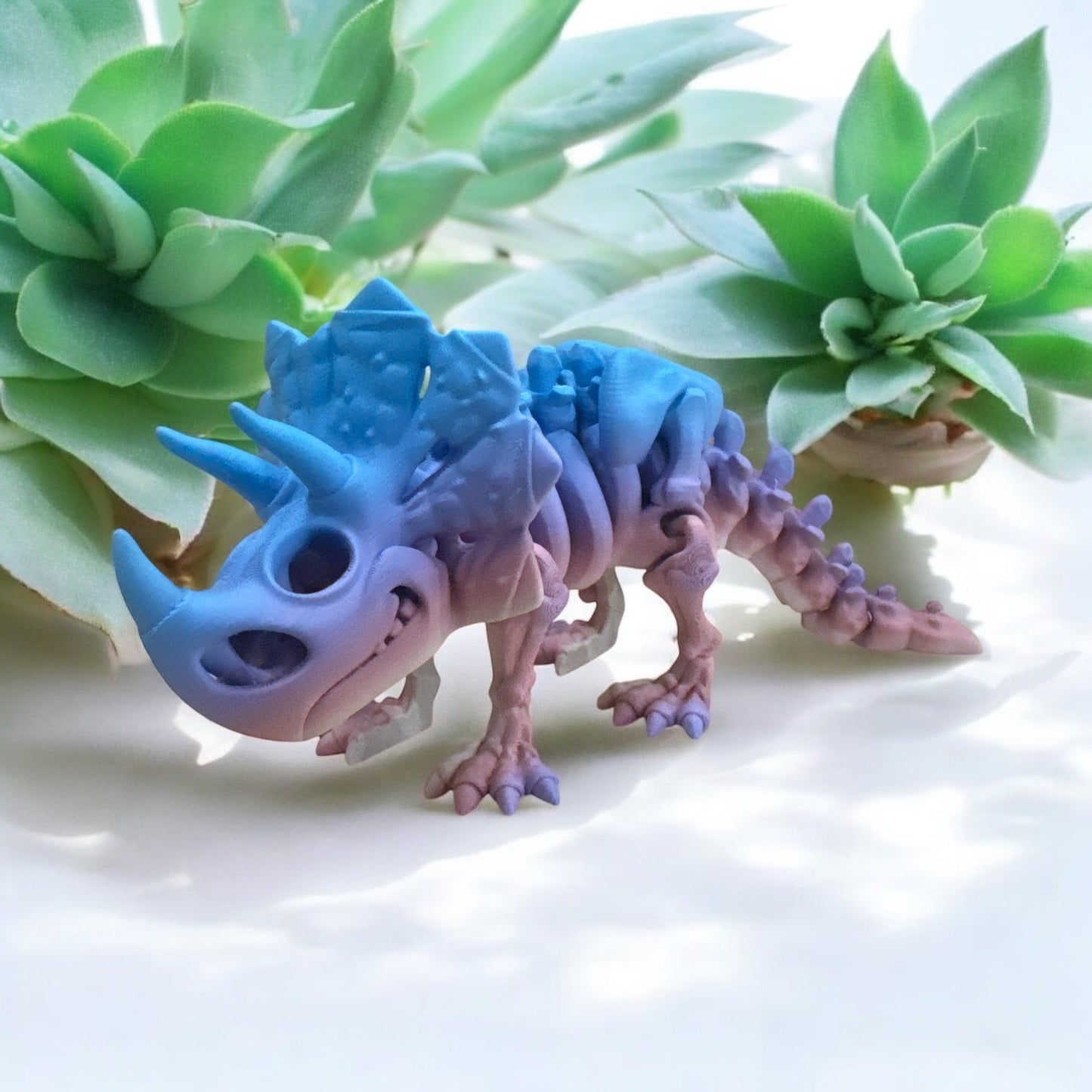 Triceratops - Bone